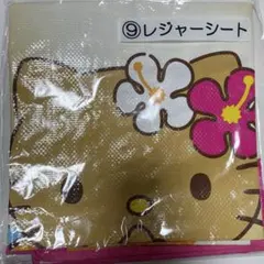 Item thumbnail for item 91d3e00b-b42a-4ee1-8a85-39debdba4623