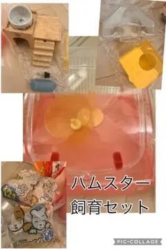 HAMPOT ハムスターセット✴︎トイレ、風呂、おうち、餌入れなどお世話セットのサムネイル