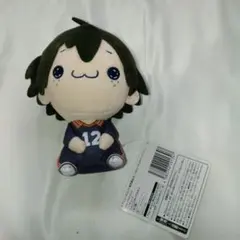 ハイキュー もちぴこ