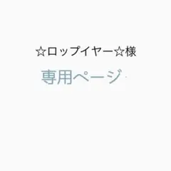 専用ページ