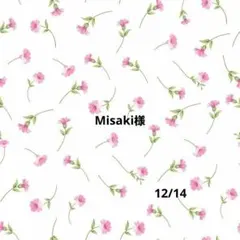 Misaki様ご確認用ページ