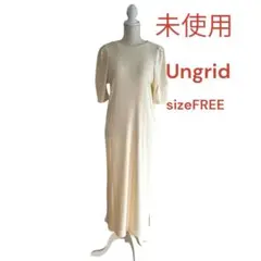 ♦︎H未使用アングリッド　スリーブボリュームカットワンピース　アイボリー