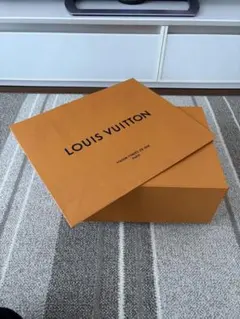 LOUIS VUITTON 大型箱　オレンジ