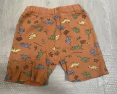 バースデイ 恐竜 ハーフパンツ 90