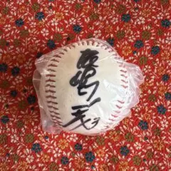 東京ヤクルトスワローズ 長岡秀樹選手直筆サインボール - メルカリ