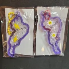琵琶湖　びわ湖　 アクリルキーホルダー　ガチャ あいとう　草津　イナズマ　紫