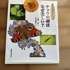 チョウの羽はなぜ美しい? : 昆虫観察Q&A 古本