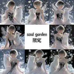 soul garden 251203r