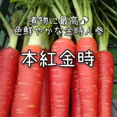 トミー様 リクエスト 4点 まとめ商品