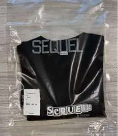 Item thumbnail for item 3d693785-5d3b-42af-890a-0a3eb9dd19b1