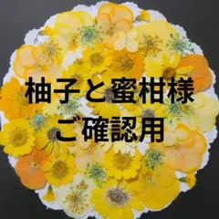 押し花素材　ビタミンカラーのお花