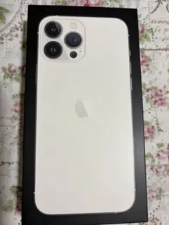 iPhone13ProMax、付属品等は無し