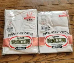 日本製GUNZE 快適工房 下着 2枚セット M L