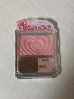 CANMAKE パウダーチークスA P01