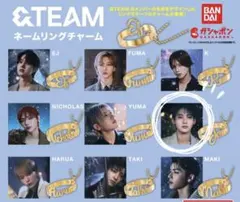 &TEAM キーリング JO