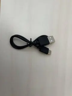 USB Type-A to USB Type-Cケーブル