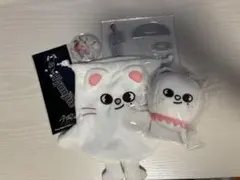 Straykids MAXIDENT CASE 直筆サインアルバム ヒョンジン - メルカリ