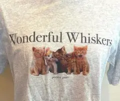 ユニクロtシャツ　猫