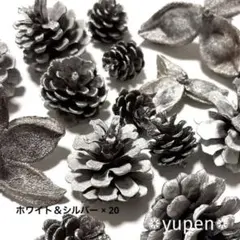 【煮沸消毒・乾燥済】 ⑤⑥ ホワイト×シルバー　木の実セット