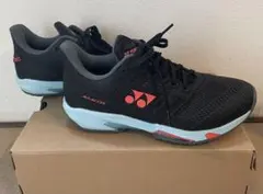 24cm YONEX ヨネックス パワークッションアドアクセルWGC