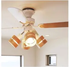 Item thumbnail for item ae515270-131b-408f-a1a5-d7f4b8e381fe