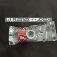 専用ページ