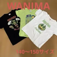 キッズ WANIMA Tシャツ 3枚セット