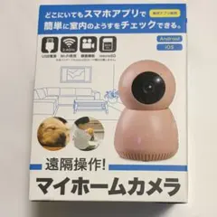마이 홈 카메라 Wi-Fi 애완 동물 카메라 모니터링 카메라 베이비 모니터