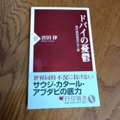 ドバイの憂鬱 : 湾岸諸国経済の光と影