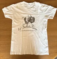 Item thumbnail for item 4d929c18-6566-4d6c-a582-3d3daec4a0bb