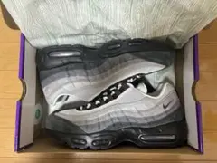 最終値下げ　 Nike SB Air Max 95 