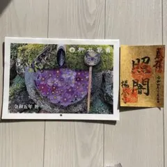 Item thumbnail for item 9119adb5-8f9d-4b04-86a7-7c8537292f48