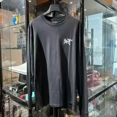 【稀少】ARC’TERYX KRAGG SL 長袖カットソー Lのサムネイル