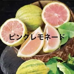 2026年最新】ピンクレモネード レモンの人気アイテム - メルカリ