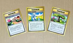 d*7様 ハネッコ 「ポケモンカードになったワケ 5巻」 おまけカード