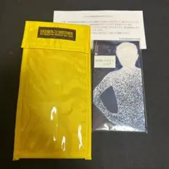 Item thumbnail for item 815fd016-a0a4-479b-90f4-3c9338d1f16d