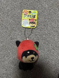 旅するマメしば 福岡限定 黒芝