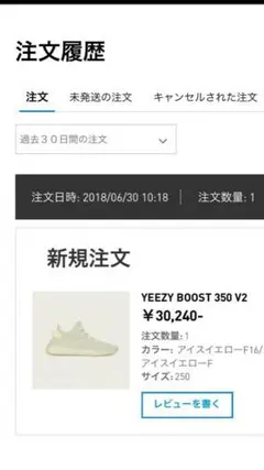 adidas YEEZY BOOST 350 V2