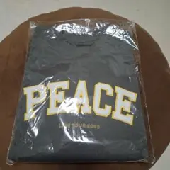 Item thumbnail for item 66aed2fa-1753-4645-81b4-c3c3b80ca05b