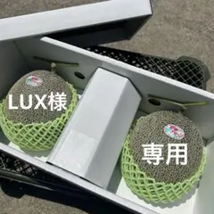 【LUX様 専用】