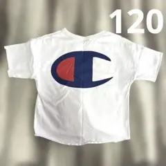 チャンピオン半袖Tシャツ120