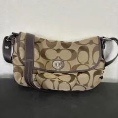 Item thumbnail for item 7174c044-04b3-4100-879d-67fae86aa843