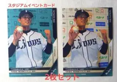 Item thumbnail for item 698d19eb-05a3-4096-b012-f37916165ad9