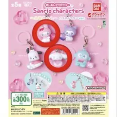 wwnw✴︎様専用　サンリオ エモきゅん めじるしアクセサリー　マイメロ