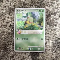 プロモーションパック ポケモンカードプレイヤーズ第5期 けいけんち