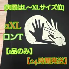 【2月最終特価！】 おもしろ プリント ロングTシャツ 2XL 長袖 インナー