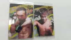 Item thumbnail for item 5581ef83-c3ea-41b1-afec-3d531b72d095