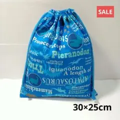 体操服入れ*2402（ハンドメイド）