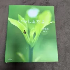 いっしょだよ