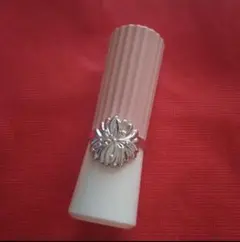 オマケ付き ポールアンドジョー 口紅とケース ★クリスマスコフレ 2023より